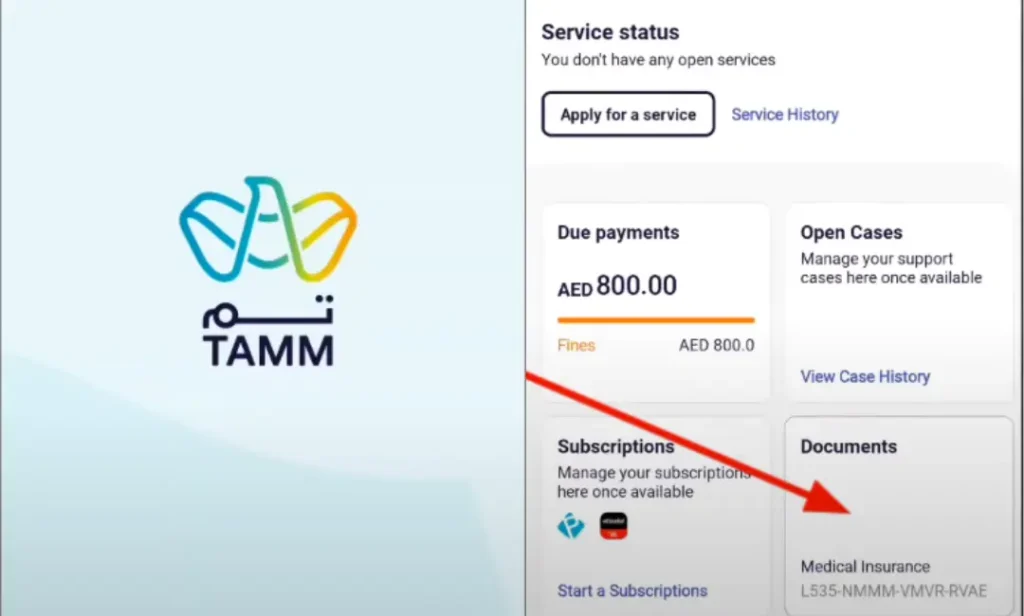 How to Check Medical Insurance with Emirates ID